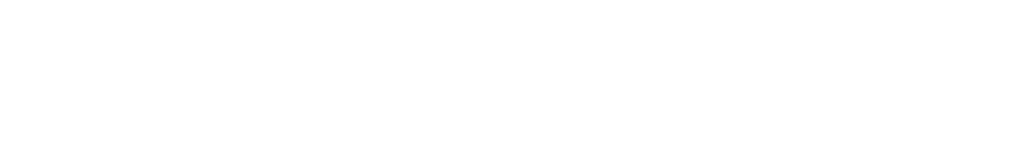 Prime Bank English Logo White